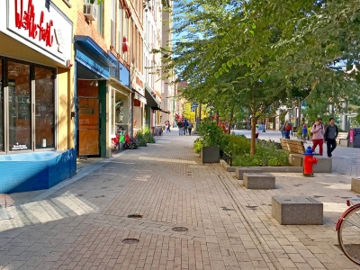 Ithaca Commons
